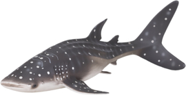 Whale shark  Mojo 387278