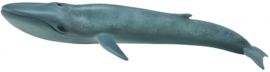 Blue Whale    CollectA 88834