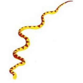 Snake baby yellow brown S268329