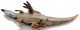 Carcharodontosaurus  CollectA 88642
