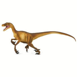 Velociraptor Safari 299929