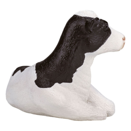 Holstein calf   Mojo 387082