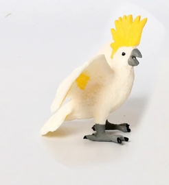 Yellow-crested cockatoo