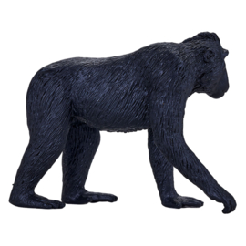 Macaque   Mojo 387182