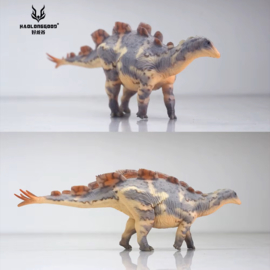 Wuerhosaurus Haolonggood