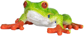 Red eyed tree frog Mojo 387299