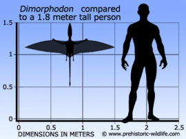 Dimorphodon CollectA 88798