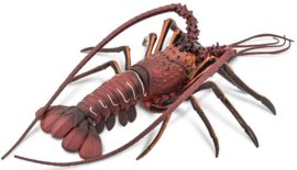 Spiny Lobster S100076