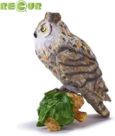 Eagle owl Great horned owl (Bubo virginianus) XL  Recur