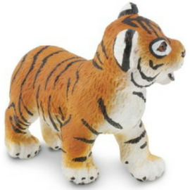 Bengal Tiger Cub   S294929