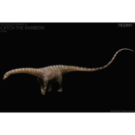 Female Diplodocus carnegii "Catch the Rainbow"
