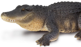 Alligator XXL S113389