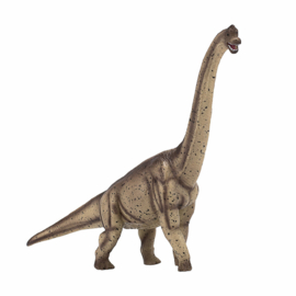 Brachiosaurus Mojo 38738