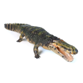 Purussaurus  LuMingXing  Haolonggood