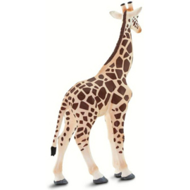 Giraffe  S268429