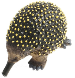 Echidna   75484  small