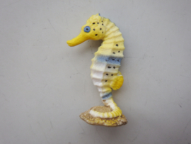 Seahorse small