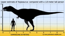 Rajasaurus     CollectA 88555