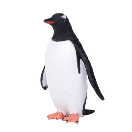 Gentoo penguin   Mojo 387184