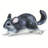 Chinchilla S100075