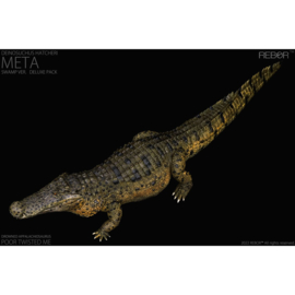 Deinosuchus hatcheri  Meta Swamp REBOR 161014