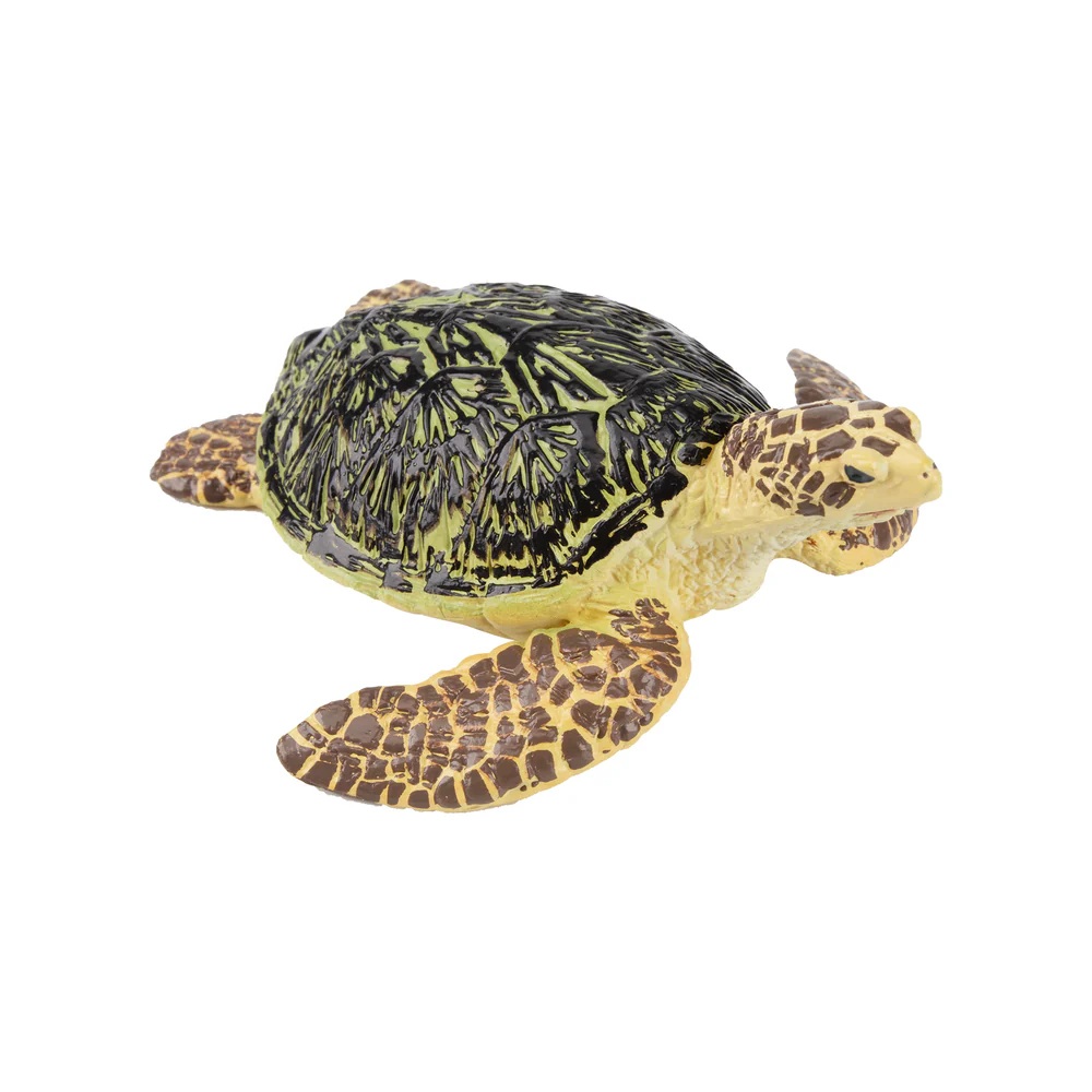 Green Sea Turtle Toymany