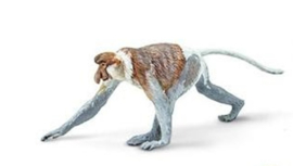 Proboscis Monkey  mini