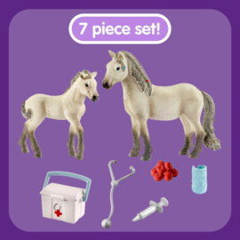 Rescue set horse club Hannah - Schleich 42430