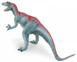 Allosaurus S 41901  Carnegie