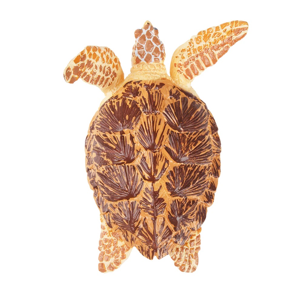 Loggerhead sea turtle  Toymany