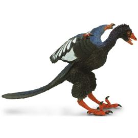 Archaeopteryx  S302829