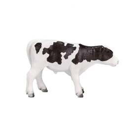 Holstein kalf Mojo 387061