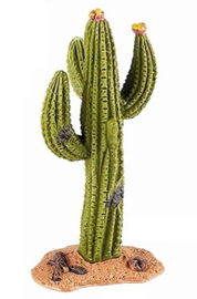Cactus  lichtgroen middelgroot