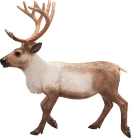 Reindeer  Mojo 387186