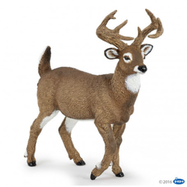 Whitetail deer  Papo 53021