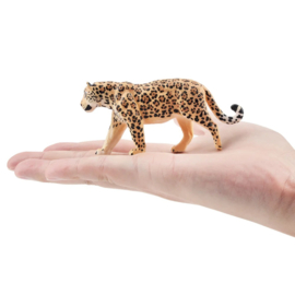 Jaguar  walking  Toymany