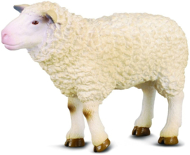 Schaap CollectA 88008