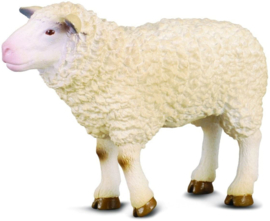 Sheep CollectA 88008