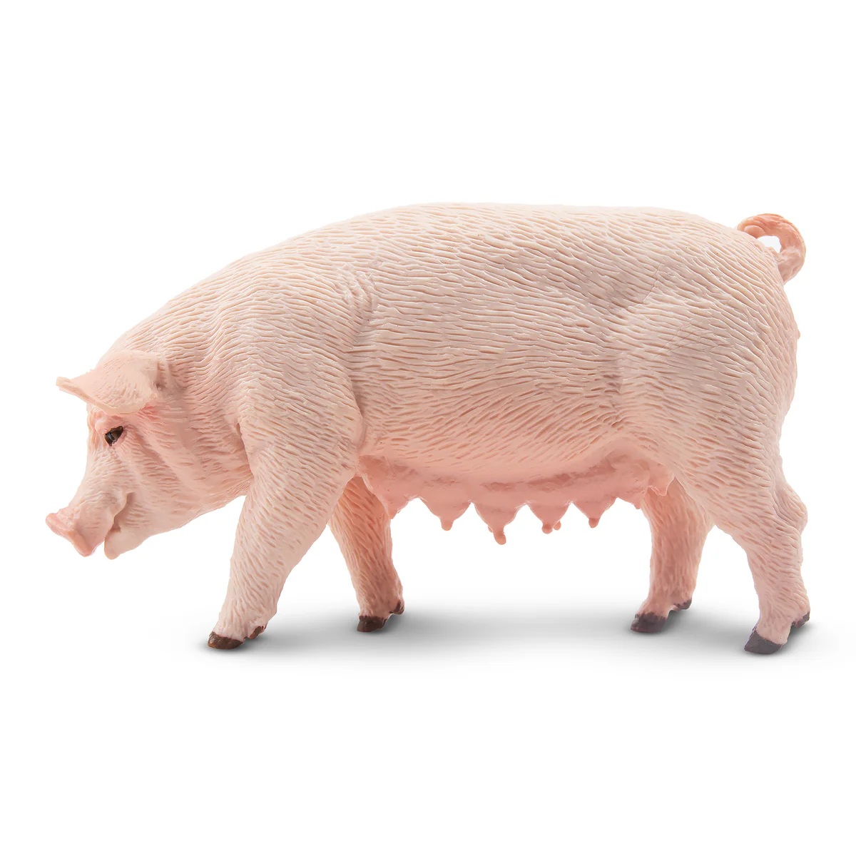 Female Adult Pig  Toymany