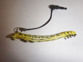 Cystidia truncangulata