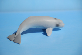 Beluga kalf  CollectA 88617