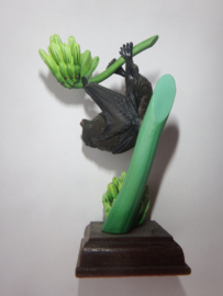 Bonin Vliegende hond  Kitan Club