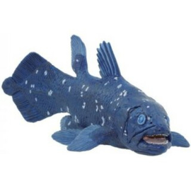 Coelacanth  S285729