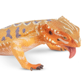 Bearded Dragon Toymany