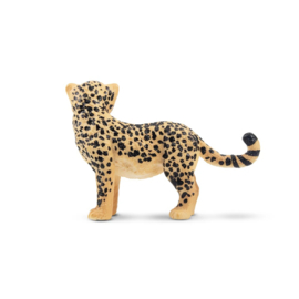 Cheetah cub Toymany