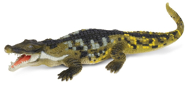 Deinosuchus S402601 Carnegie