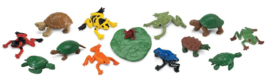 Frogs & Turtles    S694804