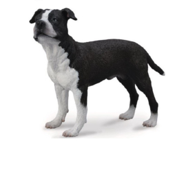 American Staffordshire Terrier  CollectA 88610