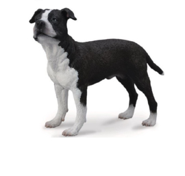 American Staffordshire Terrier    CollectA 88610 -