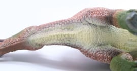 Edmontosaurus (1:40) CollectA 88948 Deluxe